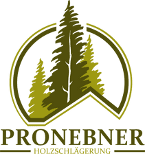 Logo Pronebner Michael