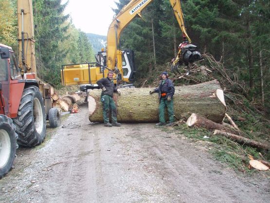 Holzschlägerung Pongau und Pinzgau